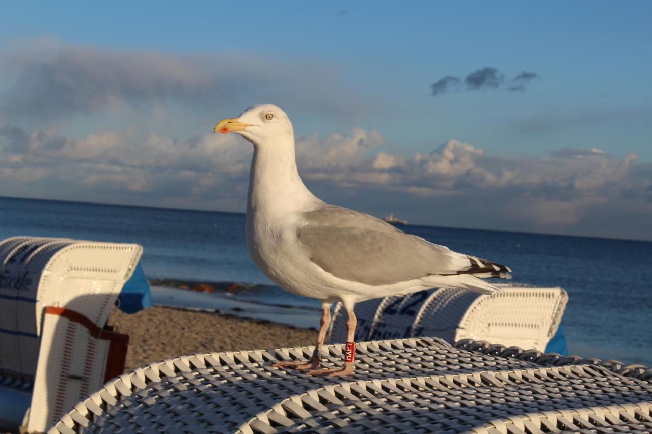 Ferienwohnungen Im Haus Strandburg เกรอมิทซ์ ภายนอก รูปภาพ